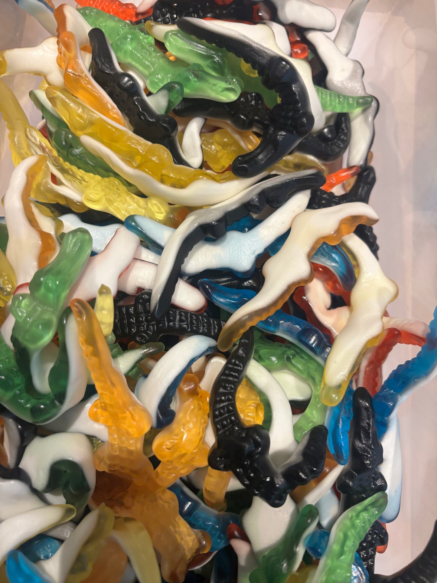 Crocodile de couleur